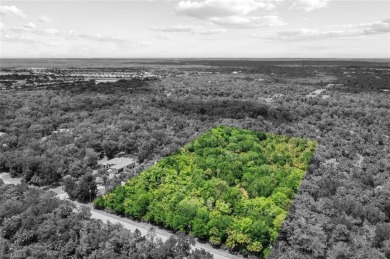Prime 5-Acre Lot in Desirable Golden Gate Estates, Naples. This on The Club At Twin Eagles in Florida - for sale on GolfHomes.com, golf home, golf lot
