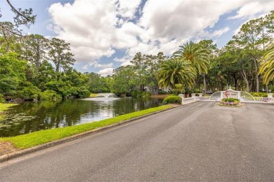 One of few single family homes on the island less than $500,000 on Sea Palms Golf and Tennis Resort in Georgia - for sale on GolfHomes.com, golf home, golf lot