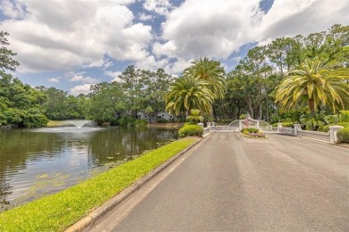 One of few single family homes on the island less than $500,000 on Sea Palms Golf and Tennis Resort in Georgia - for sale on GolfHomes.com, golf home, golf lot