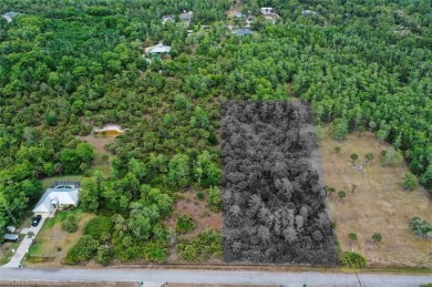 Incredible opportunity to own 2.73 acres of southern-facing land on The Club At Twin Eagles in Florida - for sale on GolfHomes.com, golf home, golf lot