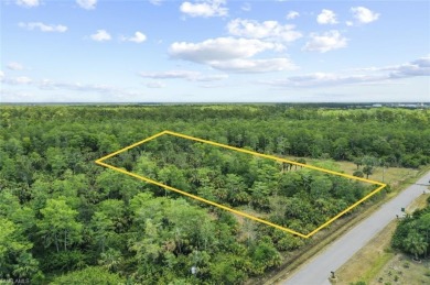 Incredible opportunity to own 2.73 acres of southern-facing land on The Club At Twin Eagles in Florida - for sale on GolfHomes.com, golf home, golf lot