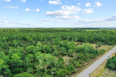 Incredible opportunity to own 2.73 acres of southern-facing land on The Club At Twin Eagles in Florida - for sale on GolfHomes.com, golf home, golf lot