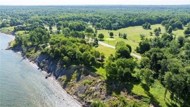 Have you been dreaming of waking up to Beautiful lakefront views on  in Ohio - for sale on GolfHomes.com, golf home, golf lot