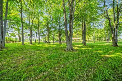 Have you been dreaming of waking up to Beautiful lakefront views on  in Ohio - for sale on GolfHomes.com, golf home, golf lot