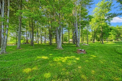 Have you been dreaming of waking up to Beautiful lakefront views on  in Ohio - for sale on GolfHomes.com, golf home, golf lot