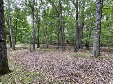 Waterfront Home with Private Dock and 1.97 Acres on LAKE BARKLEY on  in Kentucky - for sale on GolfHomes.com, golf home, golf lot
