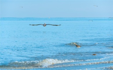 Under contract-accepting backup offers. Location, Location on Oyster Creek Golf Club in Florida - for sale on GolfHomes.com, golf home, golf lot