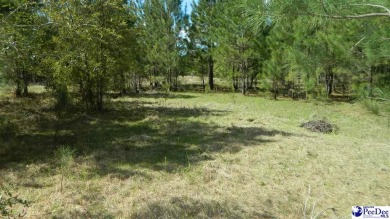 Lot# 279 in Persimmon Fields Subdivision offers a tranquil on The Wellman Country Club in South Carolina - for sale on GolfHomes.com, golf home, golf lot