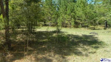Lot# 279 in Persimmon Fields Subdivision offers a tranquil on The Wellman Country Club in South Carolina - for sale on GolfHomes.com, golf home, golf lot