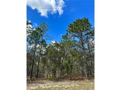 Check out these two lots (side by side) in Sugarmill Woods - in on Sugarmill Woods Golf and Country Club in Florida - for sale on GolfHomes.com, golf home, golf lot