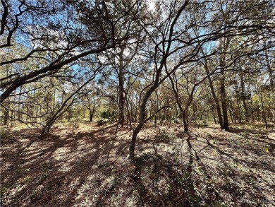 Check out these two lots (side by side) in Sugarmill Woods - in on Sugarmill Woods Golf and Country Club in Florida - for sale on GolfHomes.com, golf home, golf lot