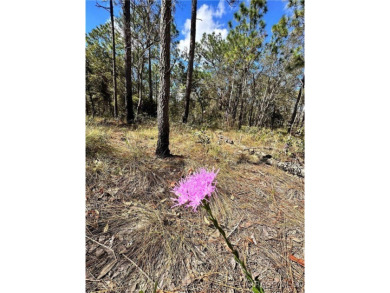 Check out these two lots (side by side) in Sugarmill Woods - in on Sugarmill Woods Golf and Country Club in Florida - for sale on GolfHomes.com, golf home, golf lot