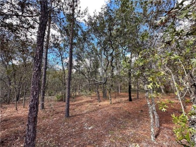 Check out these two lots (side by side) in Sugarmill Woods - in on Sugarmill Woods Golf and Country Club in Florida - for sale on GolfHomes.com, golf home, golf lot