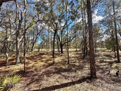 Check out these two lots (side by side) in Sugarmill Woods - in on Sugarmill Woods Golf and Country Club in Florida - for sale on GolfHomes.com, golf home, golf lot