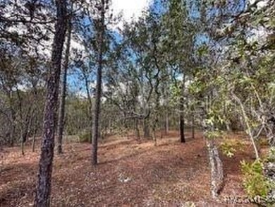 Check out these two lots (side by side) in Sugarmill Woods - in on Sugarmill Woods Golf and Country Club in Florida - for sale on GolfHomes.com, golf home, golf lot