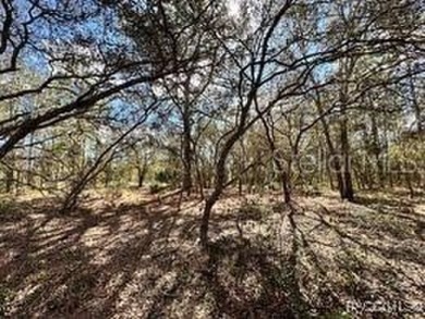 Check out these two lots (side by side) in Sugarmill Woods - in on Sugarmill Woods Golf and Country Club in Florida - for sale on GolfHomes.com, golf home, golf lot