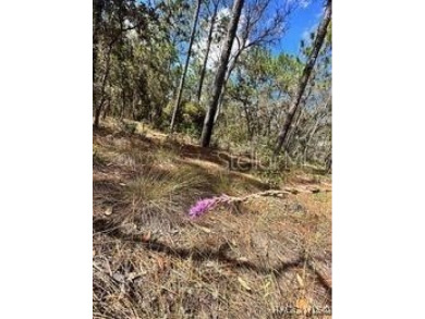Check out these two lots (side by side) in Sugarmill Woods - in on Sugarmill Woods Golf and Country Club in Florida - for sale on GolfHomes.com, golf home, golf lot