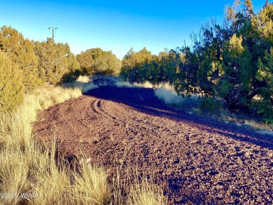 Beautiful, heavily treed lot in White Mountain Lakes with water on Silver Creek Golf Club in Arizona - for sale on GolfHomes.com, golf home, golf lot