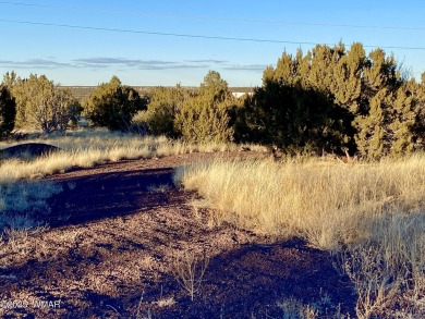 Beautiful, heavily treed lot in White Mountain Lakes with water on Silver Creek Golf Club in Arizona - for sale on GolfHomes.com, golf home, golf lot