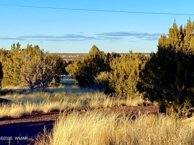 Beautiful, heavily treed lot in White Mountain Lakes with water on Silver Creek Golf Club in Arizona - for sale on GolfHomes.com, golf home, golf lot