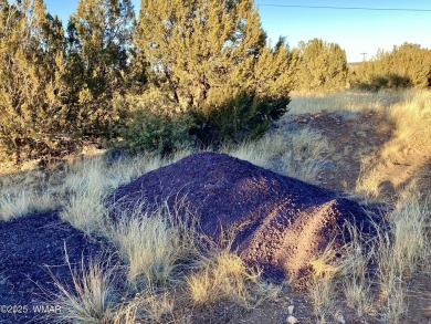 Beautiful, heavily treed lot in White Mountain Lakes with water on Silver Creek Golf Club in Arizona - for sale on GolfHomes.com, golf home, golf lot