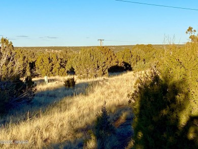 Beautiful, heavily treed lot in White Mountain Lakes with water on Silver Creek Golf Club in Arizona - for sale on GolfHomes.com, golf home, golf lot