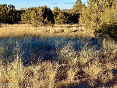 Beautiful, heavily treed lot in White Mountain Lakes with water on Silver Creek Golf Club in Arizona - for sale on GolfHomes.com, golf home, golf lot