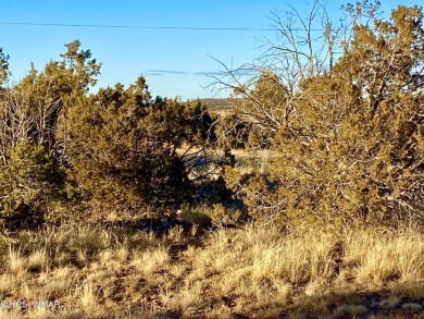 Beautiful, heavily treed lot in White Mountain Lakes with water on Silver Creek Golf Club in Arizona - for sale on GolfHomes.com, golf home, golf lot