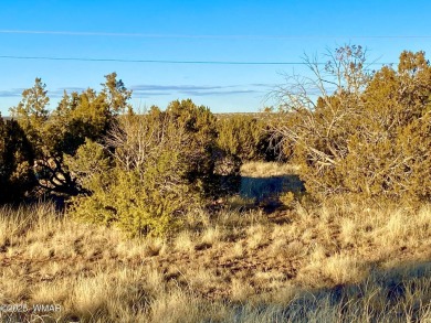 Beautiful, heavily treed lot in White Mountain Lakes with water on Silver Creek Golf Club in Arizona - for sale on GolfHomes.com, golf home, golf lot