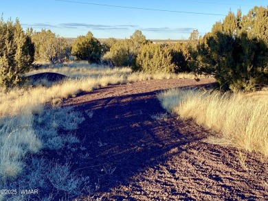 Beautiful, heavily treed lot in White Mountain Lakes with water on Silver Creek Golf Club in Arizona - for sale on GolfHomes.com, golf home, golf lot