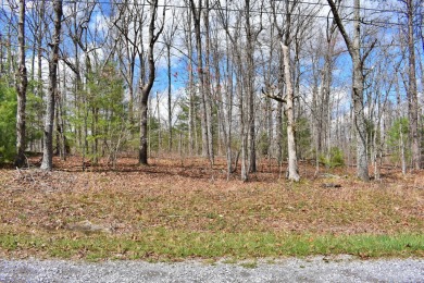 Check out this nice level and wooded lot right across the street on Lake Tansi Village Country Club in Tennessee - for sale on GolfHomes.com, golf home, golf lot