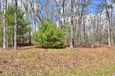 Check out this nice level and wooded lot right across the street on Lake Tansi Village Country Club in Tennessee - for sale on GolfHomes.com, golf home, golf lot