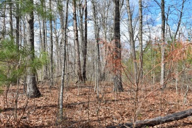 Check out this nice level and wooded lot right across the street on Lake Tansi Village Country Club in Tennessee - for sale on GolfHomes.com, golf home, golf lot