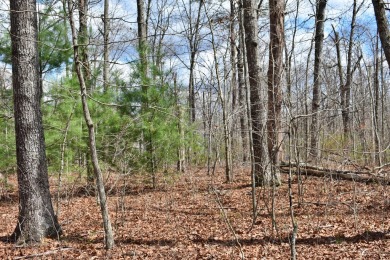 Check out this nice level and wooded lot right across the street on Lake Tansi Village Country Club in Tennessee - for sale on GolfHomes.com, golf home, golf lot