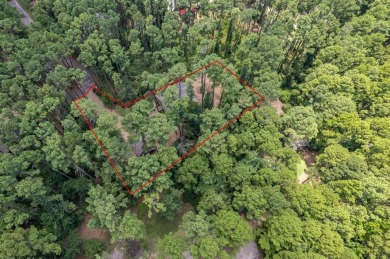 Amazing one-of-a kind home in highly sought-after gated on Holly Lake Ranch Golf Club in Texas - for sale on GolfHomes.com, golf home, golf lot