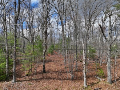 Check out this nice level and wooded lot right across the street on Lake Tansi Village Country Club in Tennessee - for sale on GolfHomes.com, golf home, golf lot