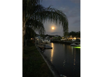 WATERFRONT GULF-ACCESS LOT - SEA PINES COMMUNITY - HUDSON, FL on Sea Pines Golf Club in Florida - for sale on GolfHomes.com, golf home, golf lot