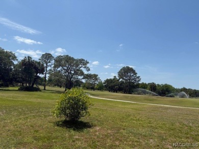 Just Reduced 60k! Motivated Seller!! Seller said *BRING ALL on Plantation Inn and Golf Resort  in Florida - for sale on GolfHomes.com, golf home, golf lot
