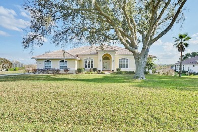 Experience luxury living in Terra Vista, featuring world-class on Skyview At Terra Vista Golf and Country Club in Florida - for sale on GolfHomes.com, golf home, golf lot