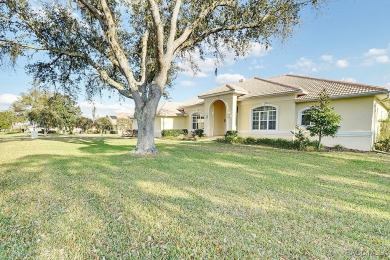 Experience luxury living in Terra Vista, featuring world-class on Skyview At Terra Vista Golf and Country Club in Florida - for sale on GolfHomes.com, golf home, golf lot
