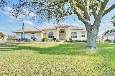 Experience luxury living in Terra Vista, featuring world-class on Skyview At Terra Vista Golf and Country Club in Florida - for sale on GolfHomes.com, golf home, golf lot