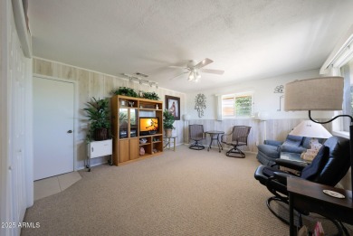 Stop By And View This Expanded Coconino Model Home On Hole on Sun City Lakes West and East in Arizona - for sale on GolfHomes.com, golf home, golf lot
