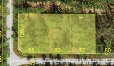 Prime Port Charlotte investment opportunity! This RARE on Sabal Trace Golf and Country Club in Florida - for sale on GolfHomes.com, golf home, golf lot