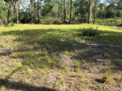 Prime Port Charlotte investment opportunity! This RARE on Sabal Trace Golf and Country Club in Florida - for sale on GolfHomes.com, golf home, golf lot