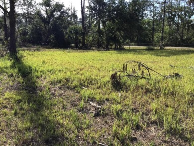 Prime Port Charlotte investment opportunity! This RARE on Sabal Trace Golf and Country Club in Florida - for sale on GolfHomes.com, golf home, golf lot