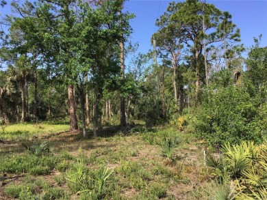 Prime Port Charlotte investment opportunity! This RARE on Sabal Trace Golf and Country Club in Florida - for sale on GolfHomes.com, golf home, golf lot