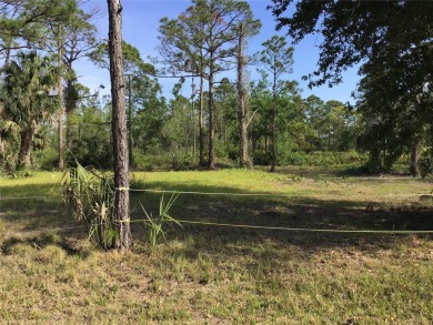 Prime Port Charlotte investment opportunity! This RARE on Sabal Trace Golf and Country Club in Florida - for sale on GolfHomes.com, golf home, golf lot