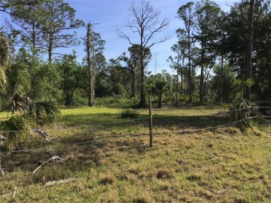 Prime Port Charlotte investment opportunity! This RARE on Sabal Trace Golf and Country Club in Florida - for sale on GolfHomes.com, golf home, golf lot