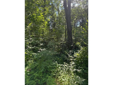 This level wooded lot is a great option for buyers looking to on Deacons Lodge Golf Course in Minnesota - for sale on GolfHomes.com, golf home, golf lot