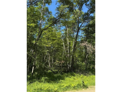This level wooded lot is a great option for buyers looking to on Deacons Lodge Golf Course in Minnesota - for sale on GolfHomes.com, golf home, golf lot